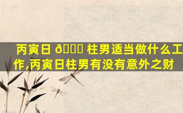 丙寅日 🐅 柱男适当做什么工作,丙寅日柱男有没有意外之财